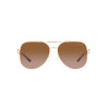 Ladies' Sunglasses Michael Kors CHIANTI MK 1121