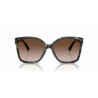 Ladies' Sunglasses Michael Kors MALIA MK 2201