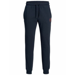 Adult's Tracksuit Bottoms Jack & Jones 12165322 Blue