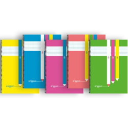 Notebook Eriggan Din A4 80 Sheets (5 Units)