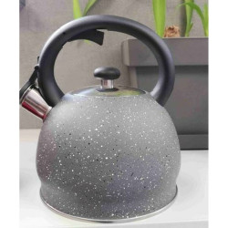 Teapot Promis TMC11 2 L