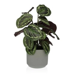 Decorative Plant Versa 15 x 40,5 x 15 cm Cement Plastic