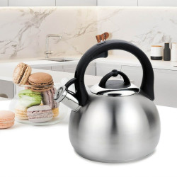 Teapot Feel Maestro MR-1311 Black Silver Silicone Stainless steel 3 L