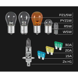 Incandescent bulb FORMULA 1 SB100