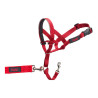 Dog Training Collars Company of Animals Halti Muzzle (35-48 cm)