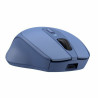 Mouse Trust 25039 Blue