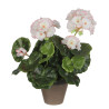 Decorative Plant Mica Decorations PVC Geranium (11,5 x 33 cm)