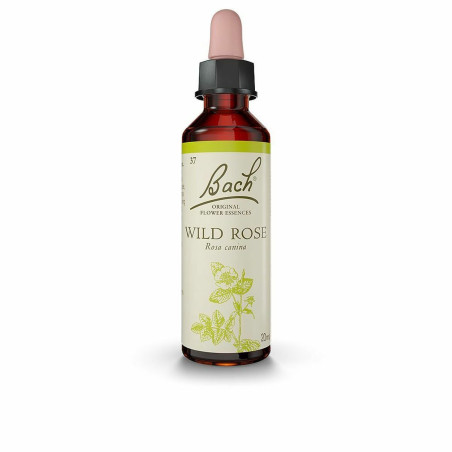 Flower Essence Bach Wild Rose