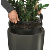 Self-watering flowerpot Lechuza Anthracite Ø 40 x 75 cm Plastic