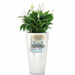 Plant pot Lechuza 40 x 40 x 76 cm Plastic