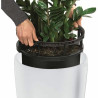 Plant pot Lechuza 40 x 40 x 76 cm Plastic