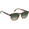 Unisex Sunglasses David Beckham DB 1007_S