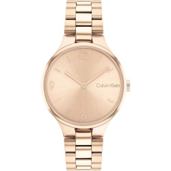 Ladies' Watch Calvin Klein 1681241