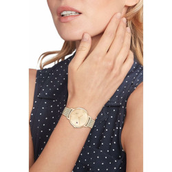 Ladies' Watch Tommy Hilfiger 1685315