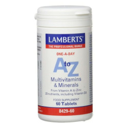 Food Supplement Lamberts 8429-60 60 Units