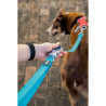 Dog Lead Red Dingo Turquoise