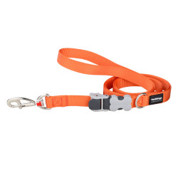 Dog Lead Red Dingo Orange