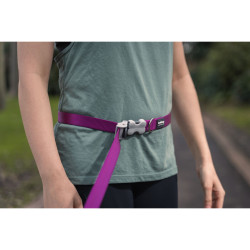 Dog Lead Red Dingo Purple