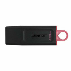 USB stick Kingston DTX/256GB Keychain Black 256 GB