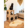 Hut Carton+Pets Twins Bronze 36 x 36 x 36 cm