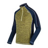 Fleece Lining Regatta Hepley Lightweight Half-Zip Yellow