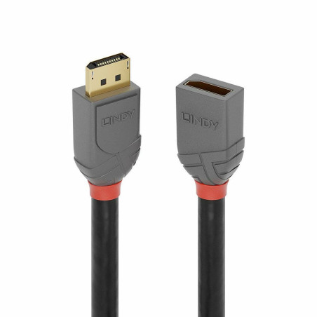 DisplayPort Cable LINDY 36496 1 m