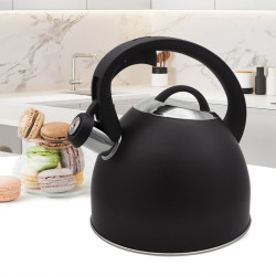 Teapot Feel Maestro MR-1325 Black Stainless steel 2,5 L