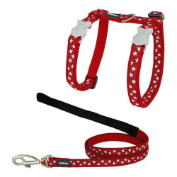 Cat Harness Red Dingo Style Red Star White Strap