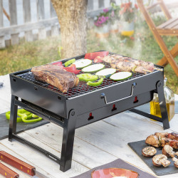 Folding Portable Barbecue for use with Charcoal BearBQ InnovaGoods