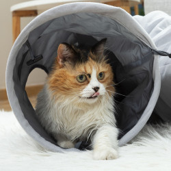 Collapsible Pet Tunnel Funnyl InnovaGoods