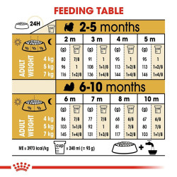 Fodder Royal Canin Shih Tzu Junior Kid/Junior 1,5 Kg