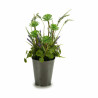 Decorative Plant Flowers Field Plastic 20 x 41 x 20 cm (6 Units)