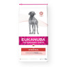 Fodder Eukanuba Veterinary Diet Intestinal Adult 12 kg