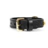 Dog collar Gloria Duna Black Golden (55 x 2.5 cm)