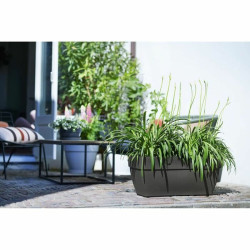 Plant pot Elho Anthracite Plastic Rectangular Modern