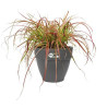 Plant pot Elho Ø 55 cm Black Plastic Circular Modern