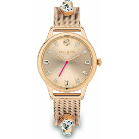 Ladies' Watch Daisy Dixon DD105RGM (Ø 35 mm)