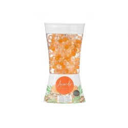 Air Freshener Orange Ginger 150 g Gel (12 Units)