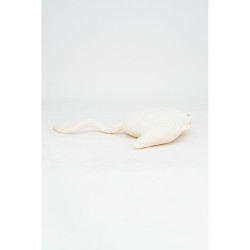 Fluffy toy Crochetts OCÉANO White Manta ray 67 x 77 x 11 cm