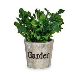 Decorative Plant Plastic 16 x 22 x 16 cm (12 Units)