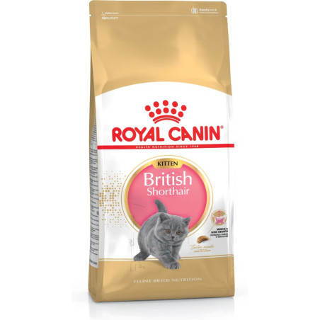 Cat food Royal Canin British Shorthair Kitten Chicken Rice Vegetable Birds 2 Kg