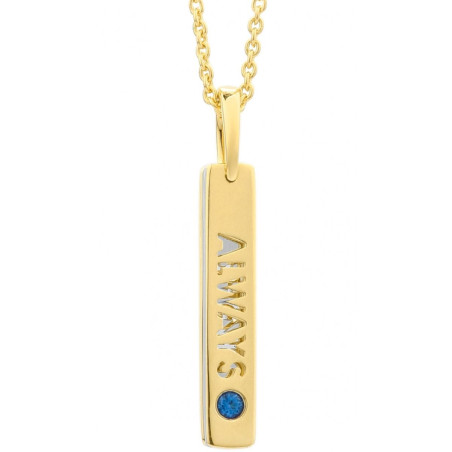 Ladies' Necklace Secrecy P7162CDAWWC03 42 cm