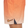 Men’s Bathing Costume Nike Volley Orange