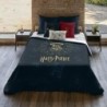 Nordic cover Harry Potter Dormiens Draco 155 x 220 cm Single