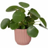 Plant pot Elho   Ø 30 cm Plastic