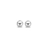 Ladies' Earrings Ti Sento 7841SI