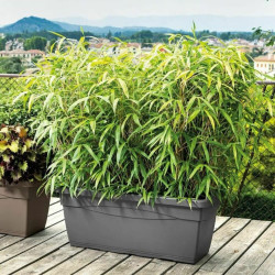 Plant pot Deroma Day R 80 x 33,5 cm Rectangular Anthracite Injected