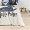 Nordic cover Harry Potter 155 x 220 cm Single