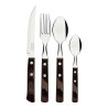 Cutlery Tramontina Polywood Stainless steel 24 Pieces