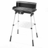 Electric Barbecue Orbegozo BCT 3950 2200 W